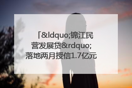 “锦江民营发展贷”落地两月授信1.7亿元，惠及118家民企
