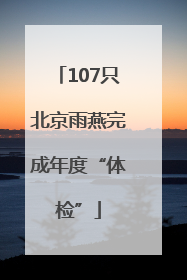 107只北京雨燕完成年度“体检”