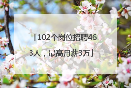 102个岗位招聘463人，最高月薪3万