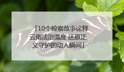 10个检察故事诠释云南法治温度 还原正义守护的动人瞬间