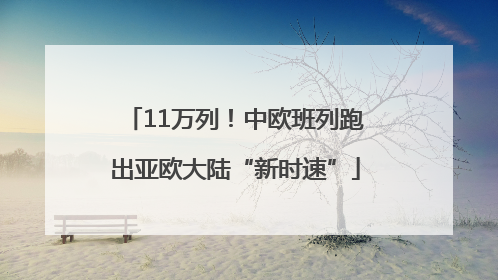 11万列！中欧班列跑出亚欧大陆“新时速”
