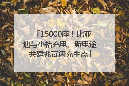 15000座！比亚迪与小桔充电、新电途共建兆瓦闪充生态