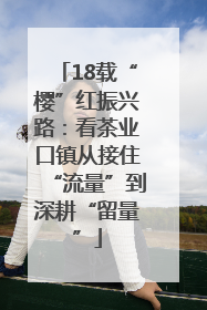 18载“樱”红振兴路：看茶业口镇从接住“流量”到深耕“留量”