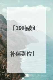 19吨碳汇补偿到位