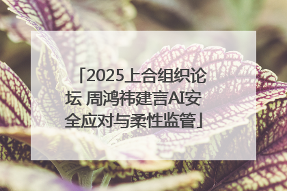 2025上合组织论坛 周鸿祎建言AI安全应对与柔性监管