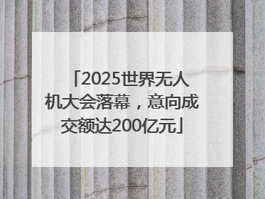 2025世界无人机大会落幕，意向成交额达200亿元