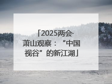 2025两会·萧山观察：“中国视谷”的新江湖