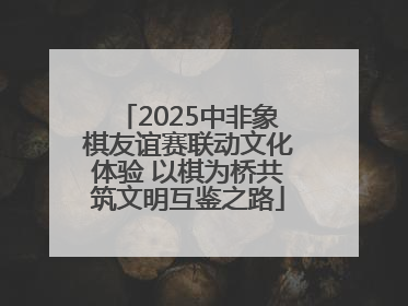 2025中非象棋友谊赛联动文化体验 以棋为桥共筑文明互鉴之路