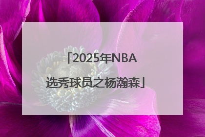2025年NBA选秀球员之杨瀚森
