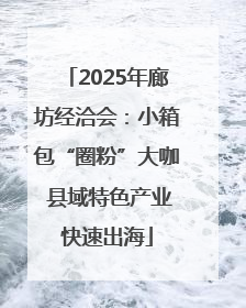 2025年廊坊经洽会：小箱包“圈粉”大咖 县域特色产业快速出海