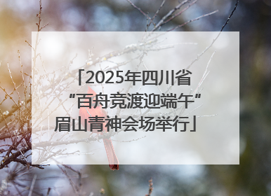 2025年四川省“百舟竞渡迎端午”眉山青神会场举行