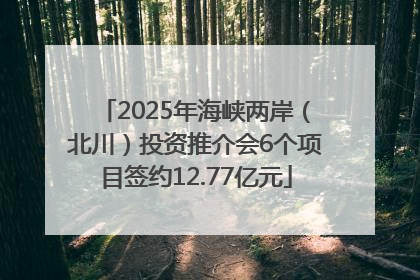 2025年海峡两岸（北川）投资推介会6个项目签约12.77亿元