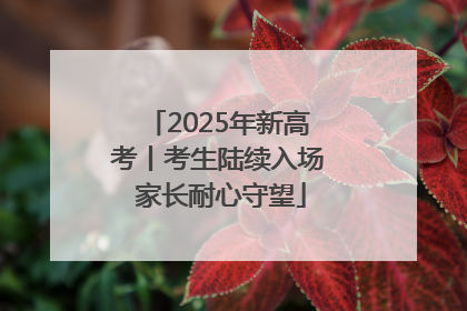 2025年新高考丨考生陆续入场 家长耐心守望