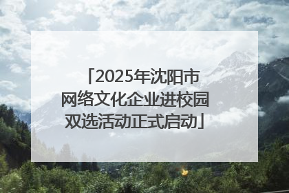 2025年沈阳市网络文化企业进校园双选活动正式启动