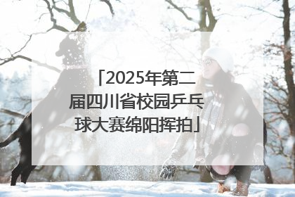 2025年第二届四川省校园乒乓球大赛绵阳挥拍
