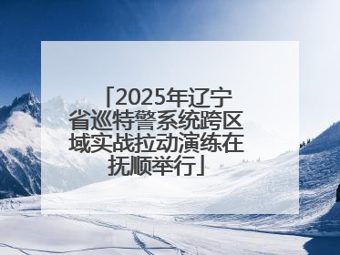 2025年辽宁省巡特警系统跨区域实战拉动演练在抚顺举行