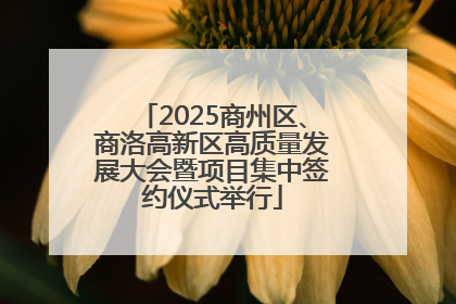 2025商州区、商洛高新区高质量发展大会暨项目集中签约仪式举行