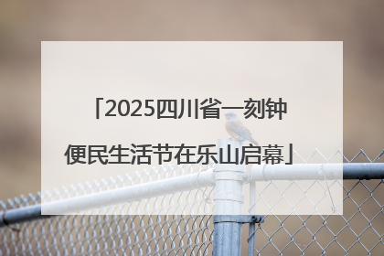 2025四川省一刻钟便民生活节在乐山启幕