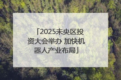 2025未央区投资大会举办 加快机器人产业布局