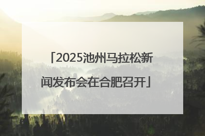 2025池州马拉松新闻发布会在合肥召开