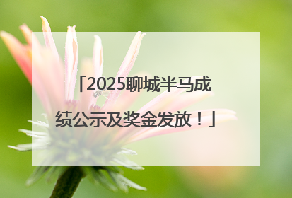 2025聊城半马成绩公示及奖金发放！