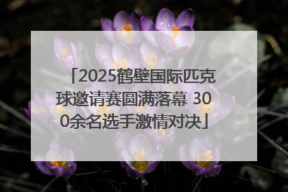 2025鹤壁国际匹克球邀请赛圆满落幕 300余名选手激情对决