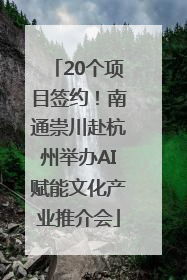 20个项目签约！南通崇川赴杭州举办AI赋能文化产业推介会