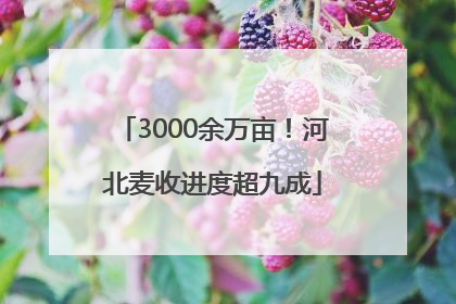 3000余万亩！河北麦收进度超九成