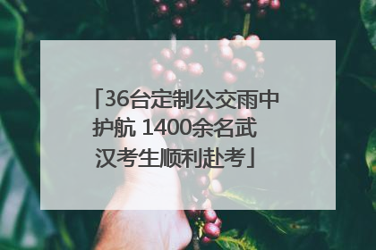 36台定制公交雨中护航 1400余名武汉考生顺利赴考