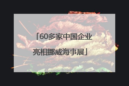 60多家中国企业亮相挪威海事展