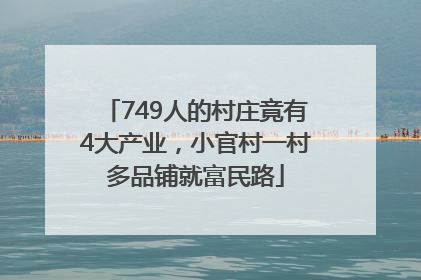 749人的村庄竟有4大产业，小官村一村多品铺就富民路