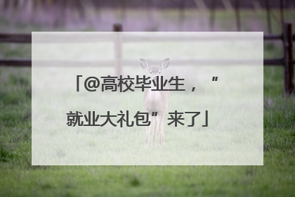 @高校毕业生，“就业大礼包”来了