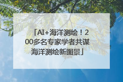 AI+海洋测绘！200多名专家学者共谋海洋测绘新图景