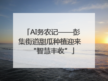 AI务农记——彭集街道甜瓜种植迎来“智慧丰收”