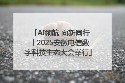 AI领航 向新同行丨2025安徽电信数字科技生态大会举行