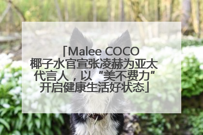 Malee COCO椰子水官宣张凌赫为亚太代言人，以“美不费力”开启健康生活好状态